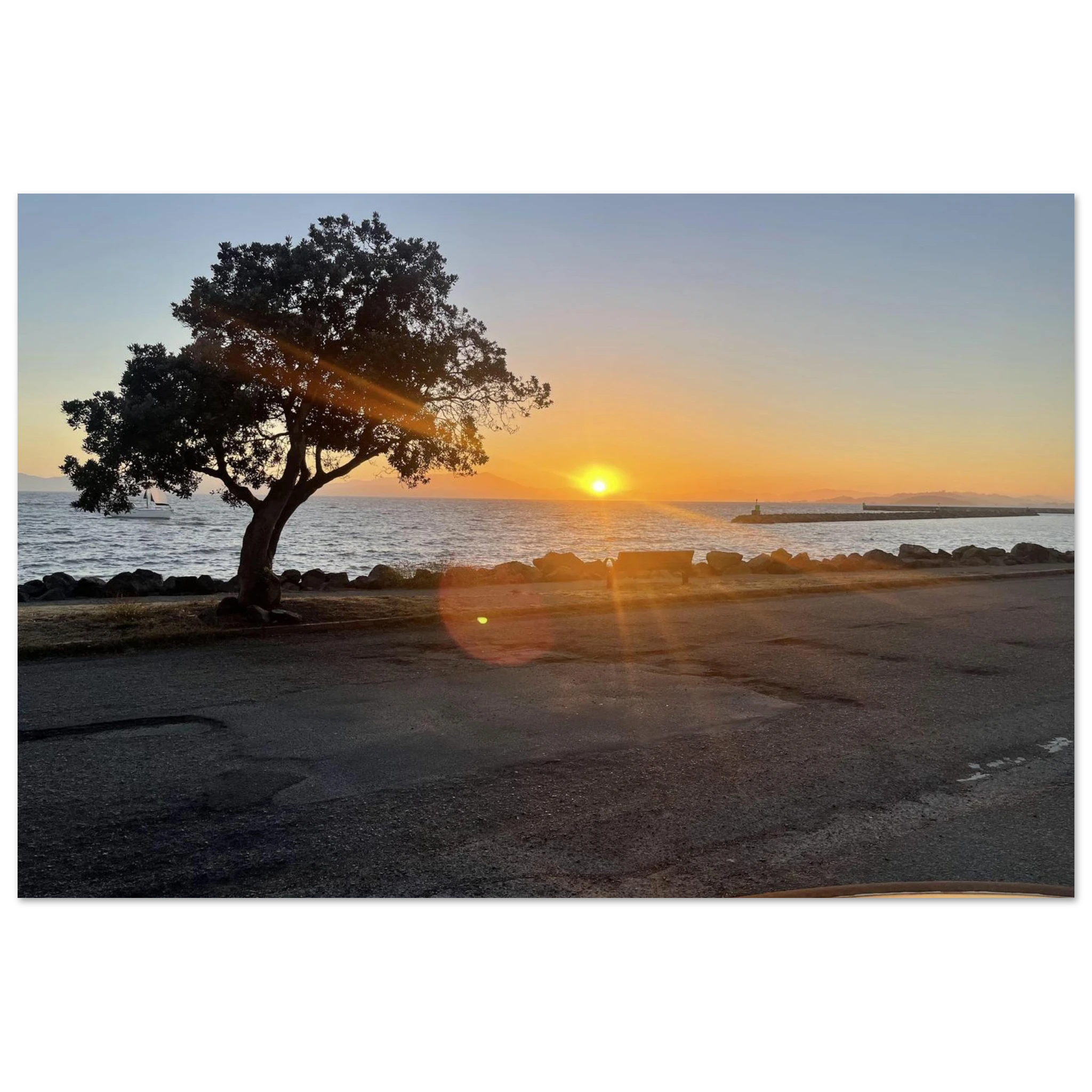 3bbc4822-7207-4979-8bdc-4ddf0e43f31a
